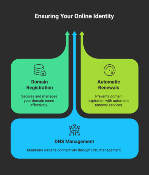 Domain Name Registration_ Own & Manage Your Online Identity - visual selection